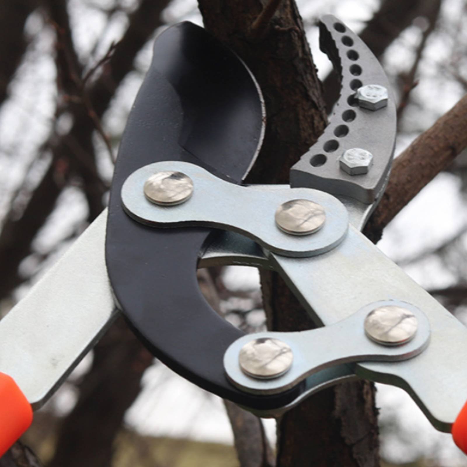Gardening Tool - กรรไกรตัดกิ่งแบบยืดหดได้ ใบมีดคม กรรไกรตัดกิ่งไม้แบบทนทาน ด้ามจับสบายมือ เครื่องมือทำสวน เคลือบสารกันติด