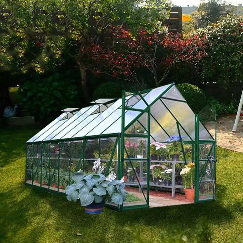 ชุดเรือนกระจกพีวีซีสำหรับขายส่ - Greenhouse Mini Indoor บทวิจารณ์และราคา