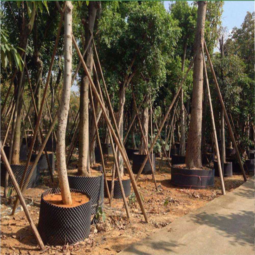 กระถางปลูกต้นไม้แบบเร่งการเจริ - Gardening Tool บทวิจารณ์และราคา