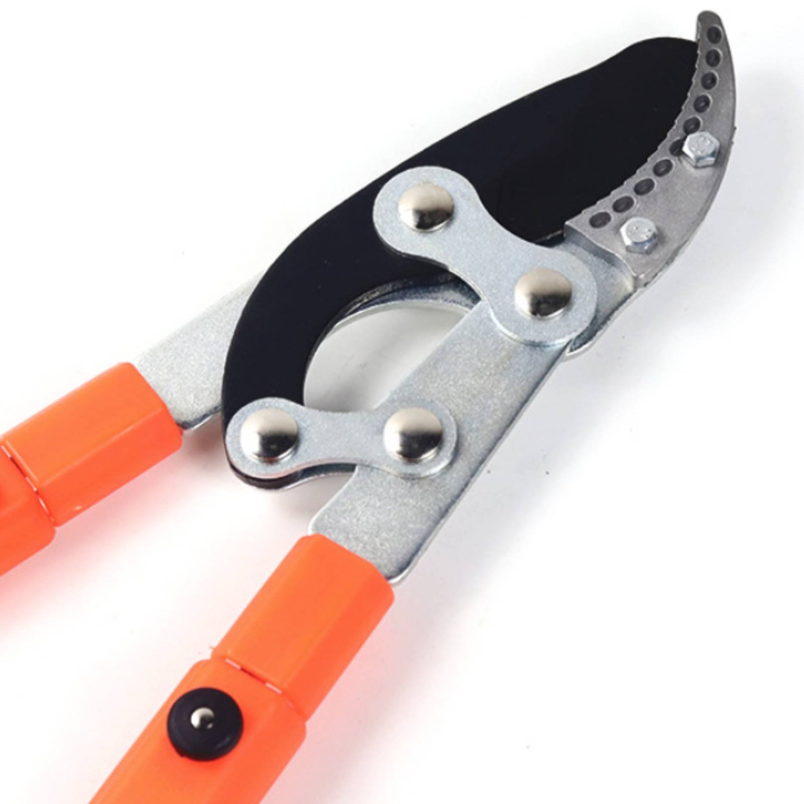 กรรไกรตัดกิ่งแบบยืดหดได้ ใบมีด - Gardening Tool บทวิจารณ์และราคา