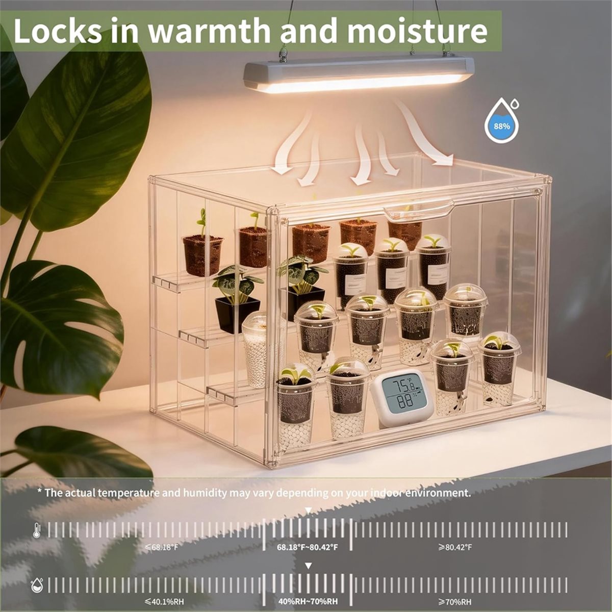 โรงเรือนปลูกต้นไม้ขนาดเล็กแบบพ - Greenhouse Mini Indoor บทวิจารณ์และราคา